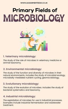 what are the 8 major fields of microbiology
fields of microbiology and their applications
microbiology field jobs
applied microbiology
applied areas of microbiology pdf
branches of microbiology - ppt
how many branches of microbiology
scope of microbiology History Of Microbiology, Microbiology Aesthetic, Microbiology Study, Medical Drawings, Biology Major, Biology Projects, Medicine Notes, Medical Videos