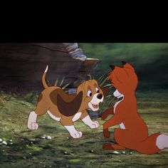 the fox and the hound is playing with each other