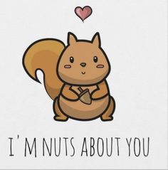 a card with an image of a squirrel and the words i'm nuts about you