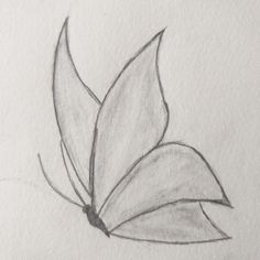 a pencil drawing of a leaf on white paper