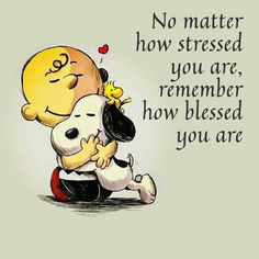 Blessed Peanuts Quotes, Charlie Brown Quotes, Image Positive, Snoopy Funny, Snoopy Quotes, Snoopy Pictures, Snoopy Love, Charlie Brown And Snoopy, Leadership Quotes