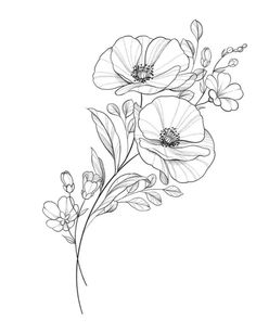 Violet Line Art Tattoo, Primrose Line Drawing, Floral Line Drawing Tattoo, Primrose Flower Tattoo Design, Cosmo Line Drawing, Cosmos Drawing Flower, Violets Flower Tattoo, Anemone Tattoo Design, Cosmo Flowers Tattoo