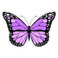 a purple butterfly with white dots on it's wings