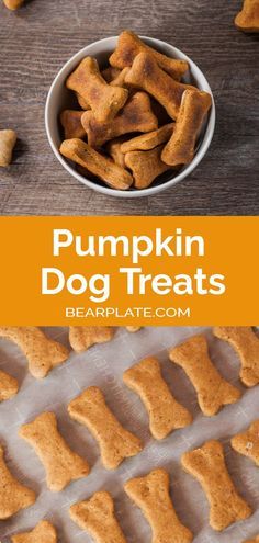 pumpkin dog treats in a bowl and on a baking sheet with the words pumpkin dog treats