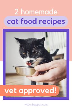 a cat eating out of a bowl with the words, homemade cat food recipes vet approved