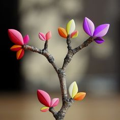 there is a small tree with colorful leaves on it's branches and the words in spanish above it