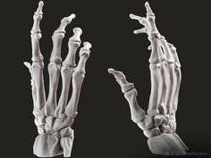 an image of a skeleton hand and wrist bones