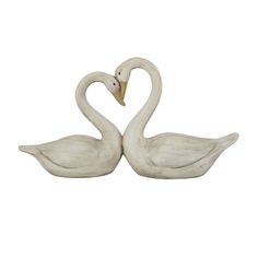 two white swans sitting next to each other