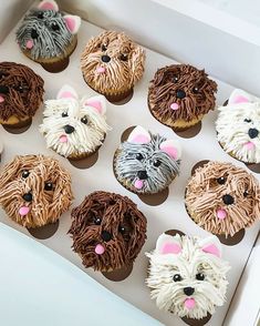 a box filled with cupcakes decorated to look like dogs