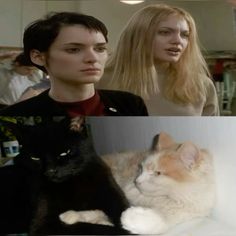 two pictures one with a cat and the other with a woman