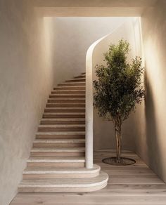 a tree sitting in the middle of a room next to a stair case with light coming through it