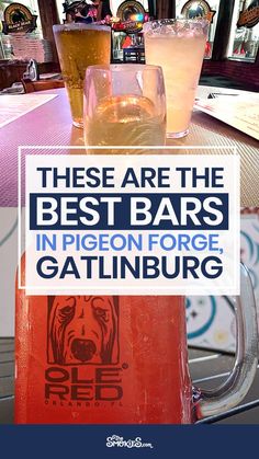 there are many different types of beers on the table in front of this sign that says, these are the best bars in pigeon for gatlinburg