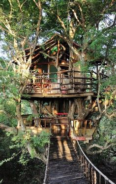 a tree house with stairs leading up to it