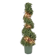 a potted plant with lights in it