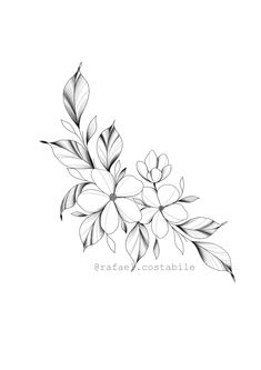 a black and white drawing of some flowers