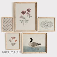 four framed art pieces with flowers and birds on them, including one bird in the middle