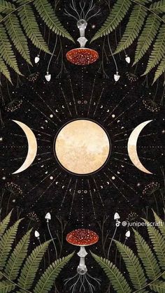 the moon is surrounded by plants and other things that are on display in this poster