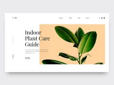 the interior plant care guide is displayed on a website page with an image of a green plant