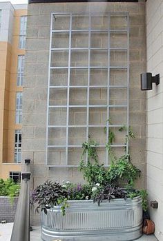 a potted planter sitting on the side of a building