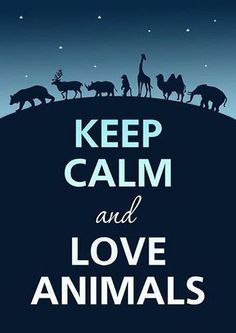 the words keep calm and love animals on a dark blue background with silhouettes of wild animals