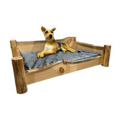 a dog laying on top of a bed made out of wooden planks and fabric