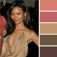 A Soft Autumn colour palette - Thandie at the Metropolitan Museum of Art Benefit Gala 2006 Autumn Soft