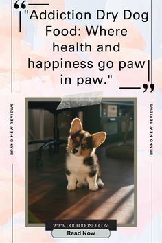 a small dog sitting on top of a hard wood floor next to a quote about food where health and happiness go paw in paw