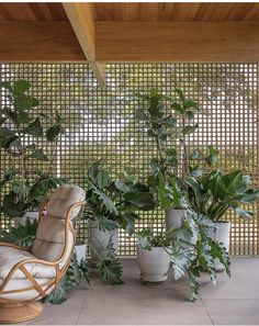 a chair and some potted plants in front of a wall with latticed screens