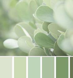 the color palette is pale green and has lots of small leaves on top of it