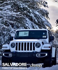 a white jeep parked in the snow next to some pine trees and bushes covered in snow