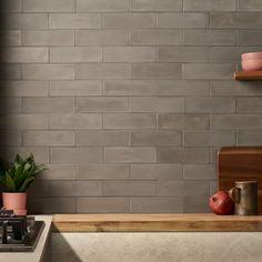 a potted plant sitting on top of a counter next to a stove