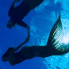 two mermaids swimming in the blue water