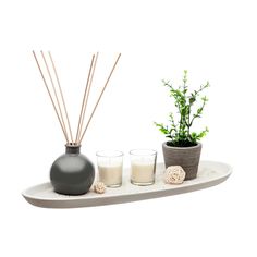 an assortment of candles, plants and vases on a tray with diffusers in it