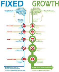 the brain and its functions are depicted in this info sheet, which includes information on how to