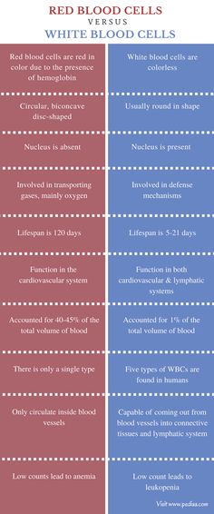 the differences between red and blue blood cells