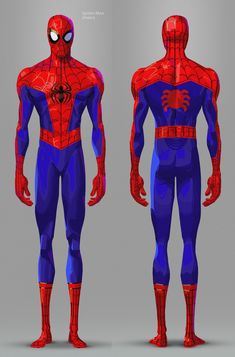 an image of a spider man standing in front and back views on a gray background