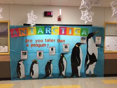 a bulletin board with penguins on it that says anartcita are you taller than a penguin?