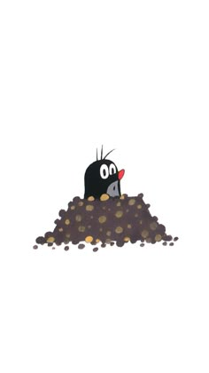 a black bird sitting on top of a pile of dirt