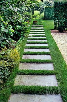 a stone path in the middle of a garden with grass growing on both sides and bushes to the side