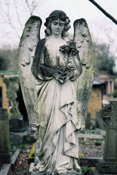 an angel statue holding a flower in its hands and standing next to some headstones