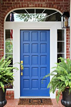 a blue front door with potted plants on the side