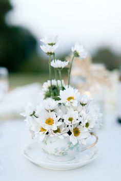 white daisies in a teacup on a table