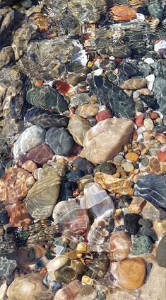 some rocks and water on the ground