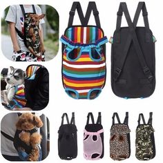 several different types of backpacks with dogs in them and one is holding a dog