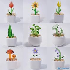 there are many different types of plants in the pots