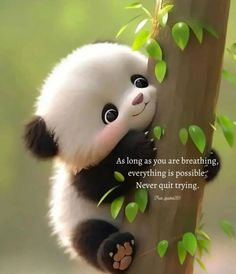 a panda bear climbing up the side of a tree with a quote on it that says as long as you are breathing, everything is possible never quiting