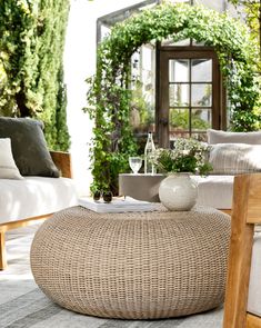 a living room filled with furniture and greenery