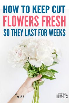 a person holding flowers with the words how to keep cut flowers fresh so they last for weeks