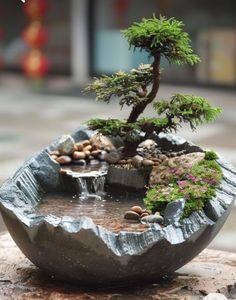 a bonsai tree in a bowl with rocks and water