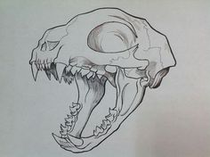 a drawing of a skull with sharp teeth